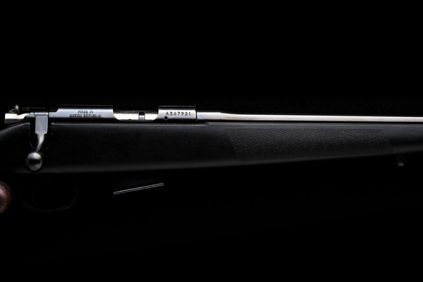 CZ 452 Silhouette 16 in